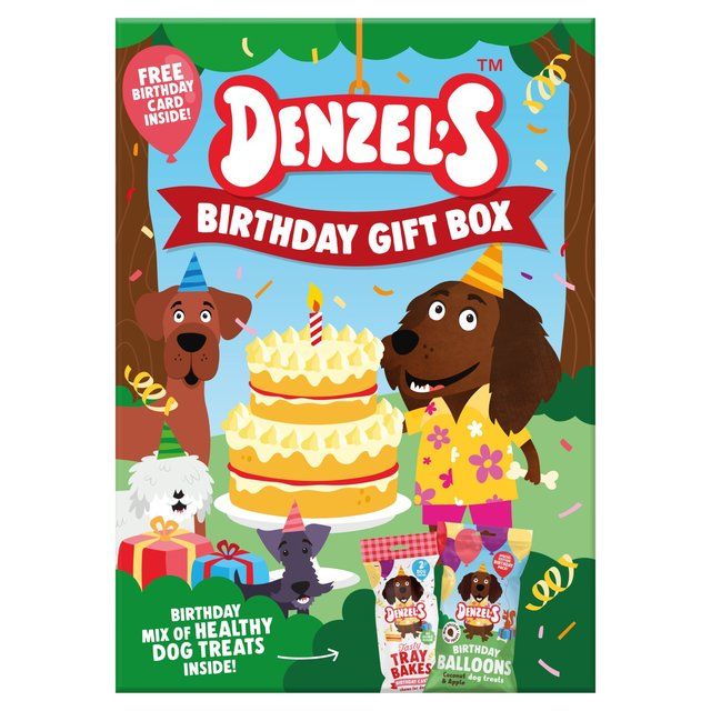 Denzel's Birthday Gift Box of Dog Treats 110g