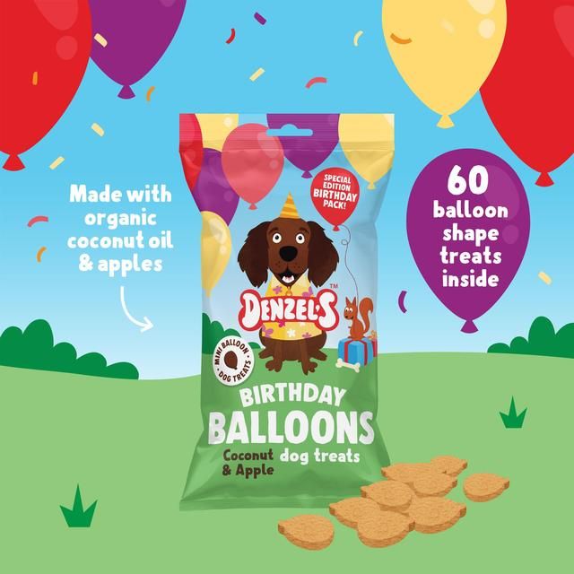 Denzel's Birthday Gift Box of Dog Treats 110g