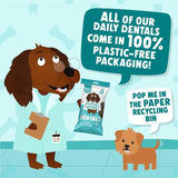 Denzel's Daily Dental Medium Dogs Chicken Peppermint & Decaf Green Tea   100g