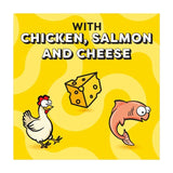 Dreamies Variety Snack Box Cat Treats with Chicken Cheese & Salmon 12 x 60g