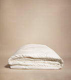 Harrods of London medium-firm silk and wool pillow 50cm x 75cm, UK version