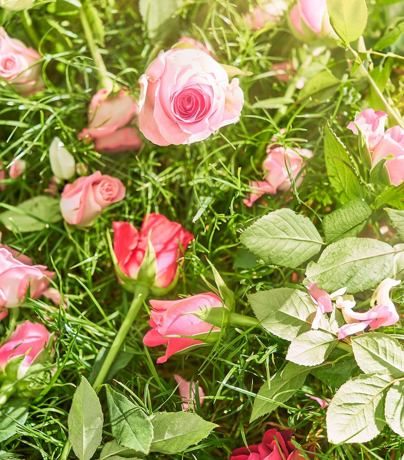 Roja Dawn In The Rose Garden Candle 250g, imported from the UK