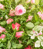 Roja Dawn In The Rose Garden Candle 250g, imported from the UK