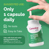 Conceive Plus Morning Sickness Relief 60 capsules (British brand)