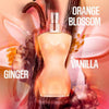 Jean Paul Gaultier Classique Eau De Toilette 100ml , UK version
