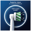 Oral-B Pro Cross Action toothbrush heads 4 count (British brand)