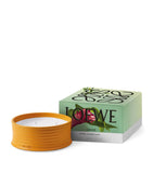 LOEWE Ginger Outdoor Candle
