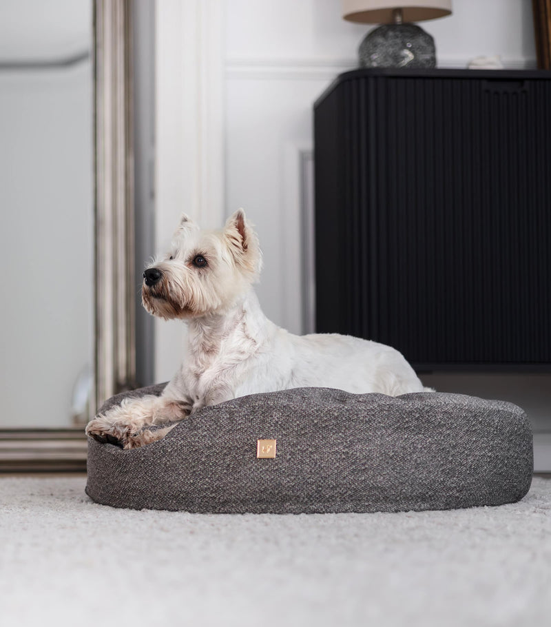 Looty Small Organic Pet Pouf, imported from the UK