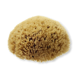 Holland & Barrett Hydréa London Honeycomb Natural Sea Sponge for Bathing- Buy online at McGrocer