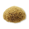 Hydrea London natural sea sponge for bathing, UK version