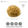 Hydrea London natural sea sponge for bathing, UK version