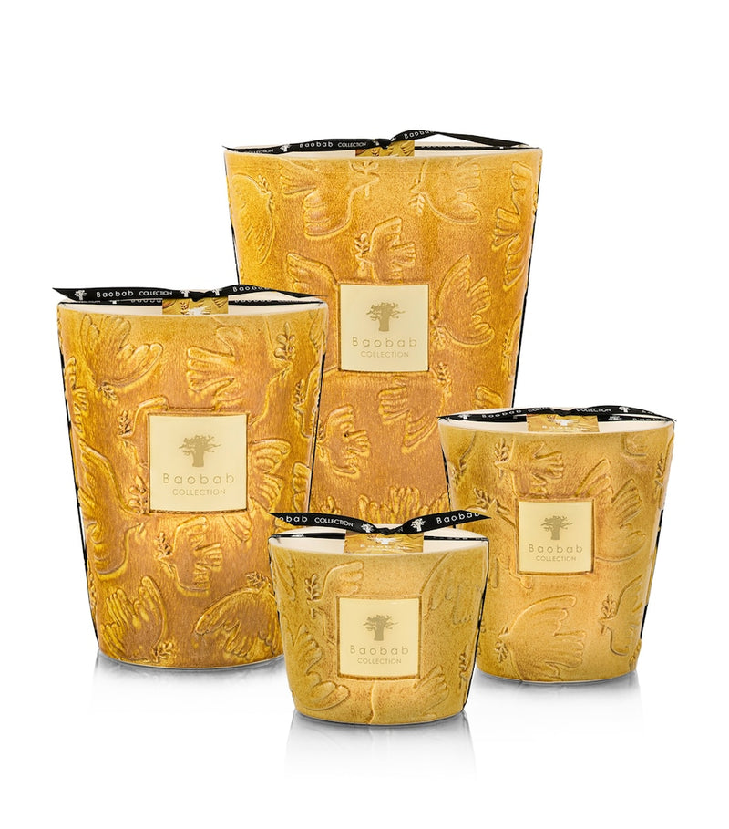 Baobab Collection Dove scented candle 9kg - British product