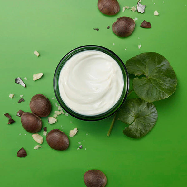 Weleda Skin Food Night Cream 40ml (British brand)