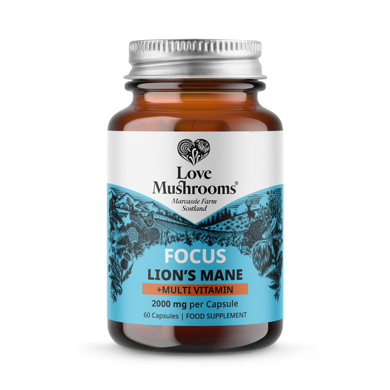 Love Mushrooms Lion's Mane + Multi Vitamin 2000mg 60 capsules (British brand)