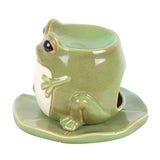 Something Different Frog Oil Burner Enchanted Forest 14cm (British brand)