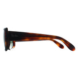 Ray-Ban RB4389 women sunglasses polished havana green, UK version
