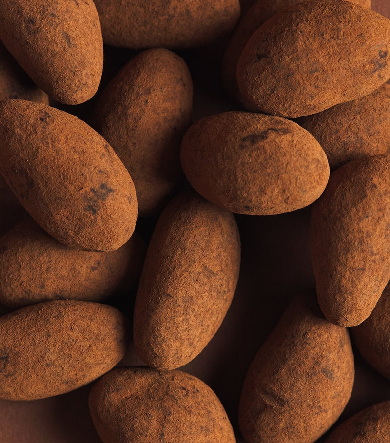 Harrods cocoa-dusted Brazil nuts 325g, UK version