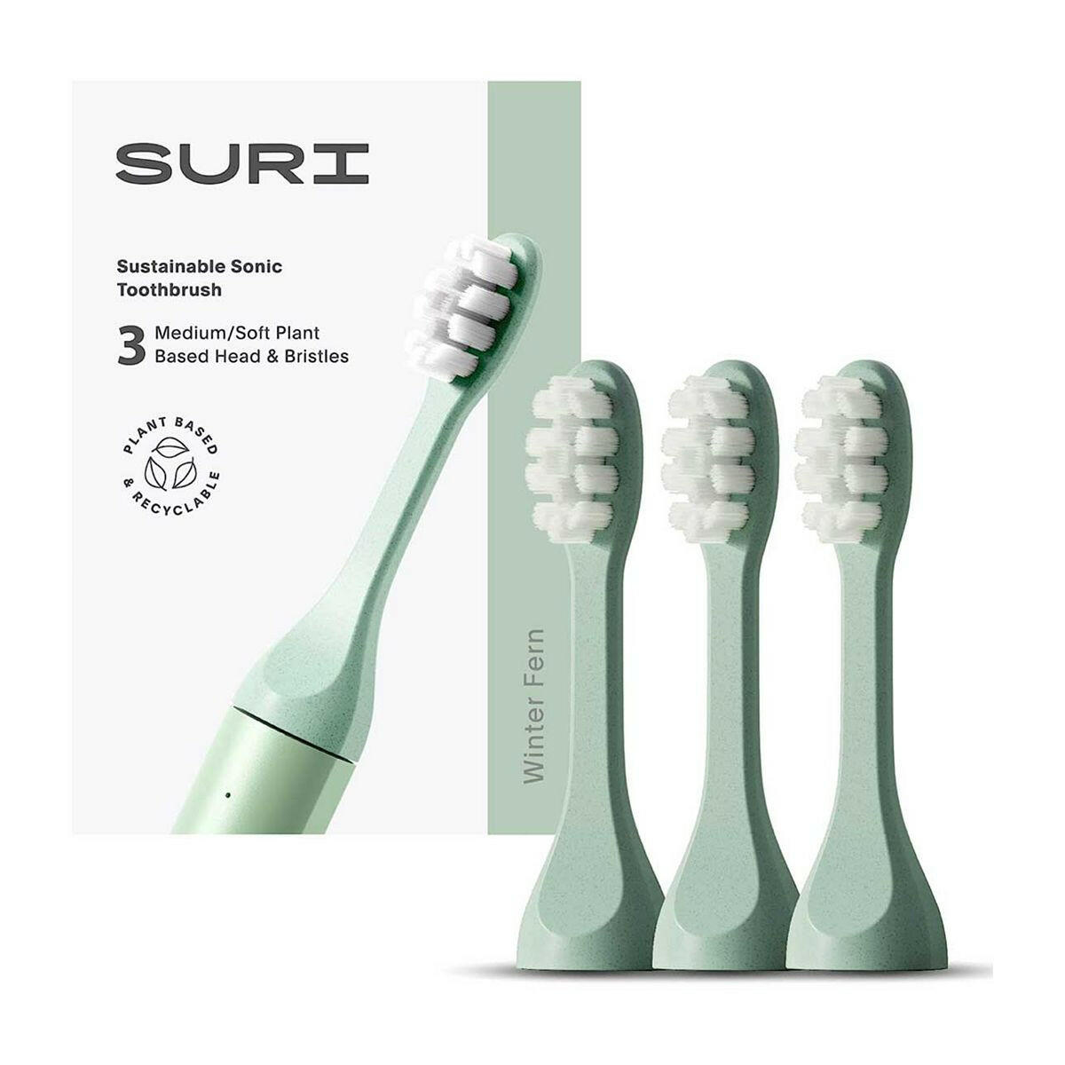 SURI Replacement Toothbrush Heads Winter Fern 3x Head GOODS Boots