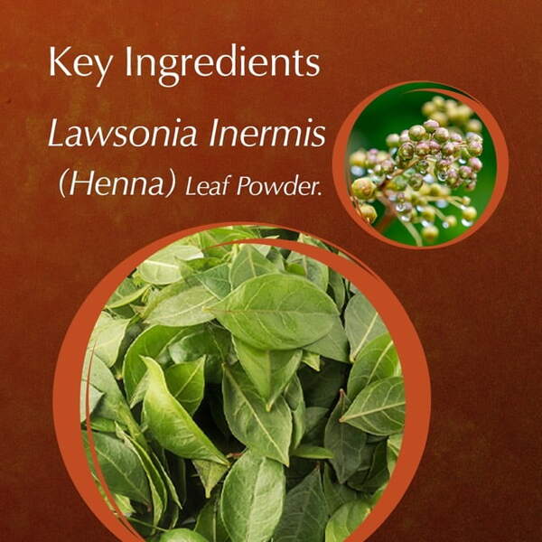 Ayumi pure henna powder 500g (British brand)