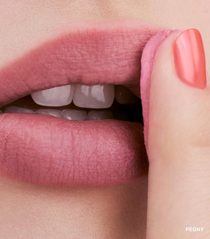 Bobbi Brown Pot Rouge cream blush and lip stain - British product