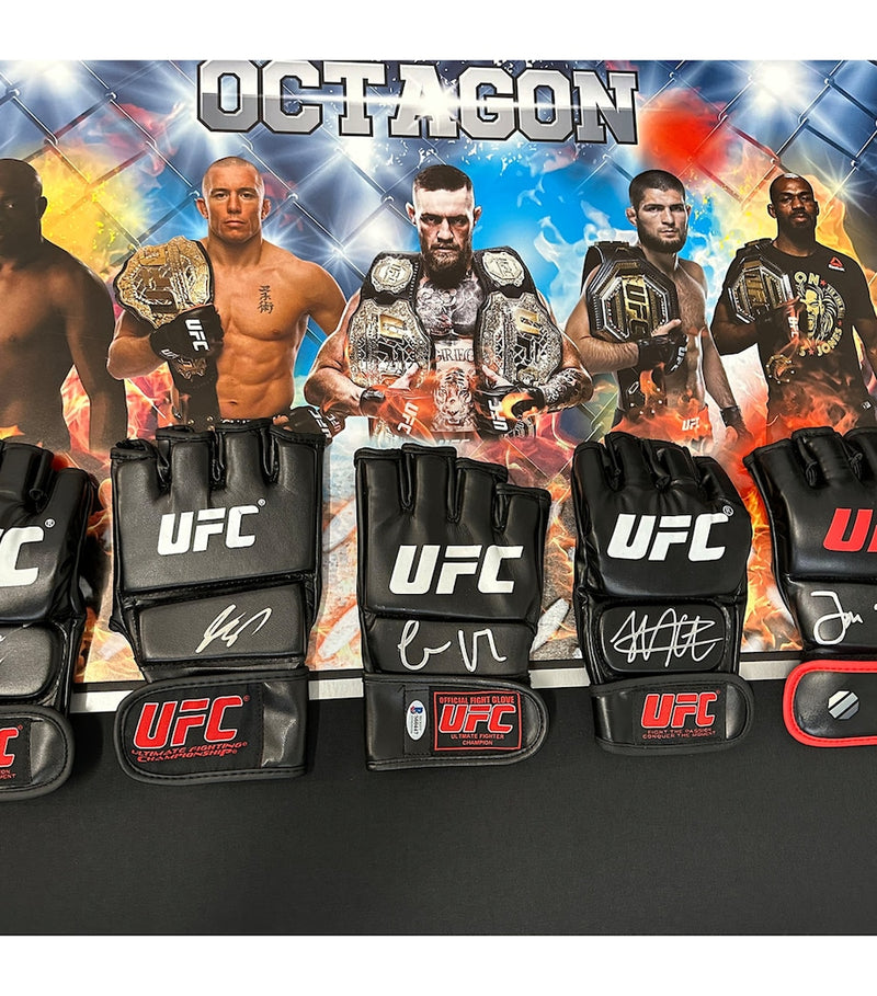 Leipzig Galleries UFC signed gloves display collectible - British product
