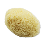 Holland & Barrett SpongeBox Golden Glow Honeycomb Luxury Body & Bath Natural Sea Sponge 5-5.5 Inches- Buy online at McGrocer