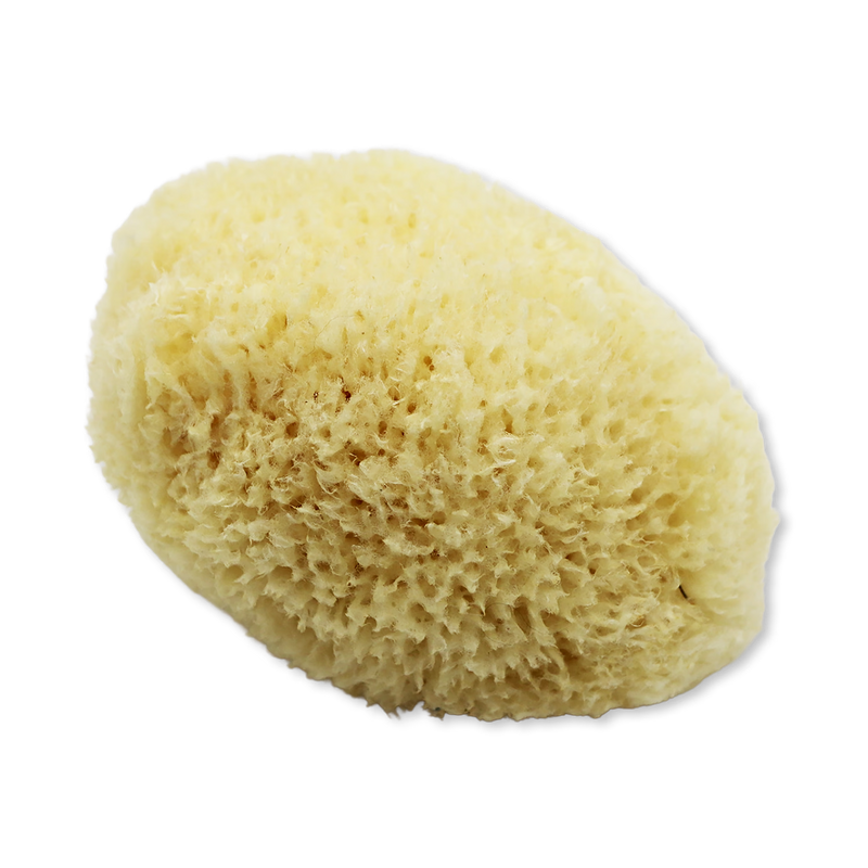 SpongeBox Golden Glow honeycomb sea sponge 5-5.5 inches, imported from the UK