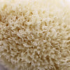 SpongeBox Golden Glow honeycomb sea sponge 5-5.5 inches, imported from the UK