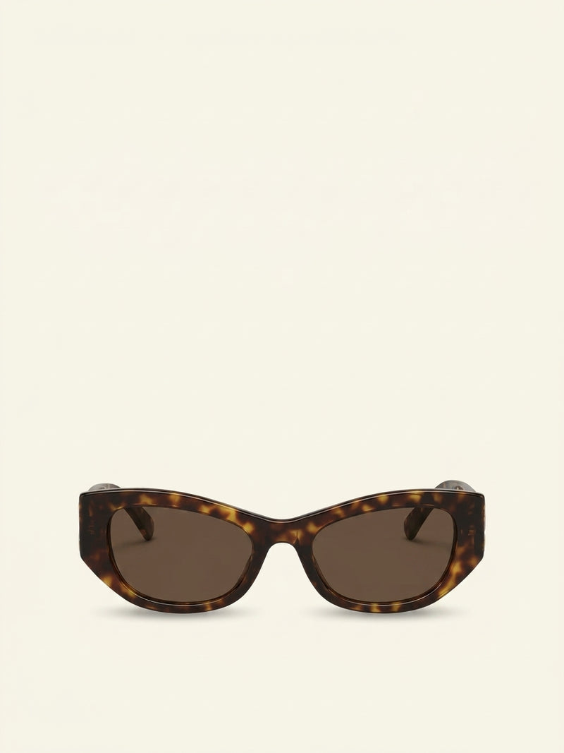 Gucci cat-eye acetate sunglasses GG2044SA (British brand)