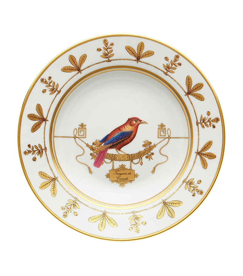 GINORI 1735 Volière Tangara Du Canada soup plate 24.5cm, UK version