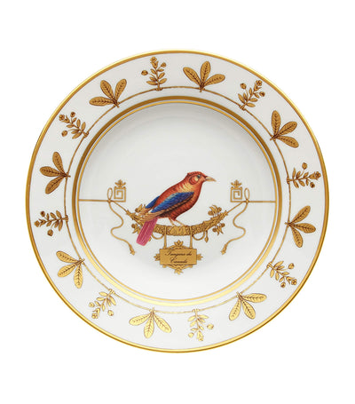 Harrods GINORI 1735 Volière Tangara Du Canada Soup Plate 24.5cm- Buy online at McGrocer