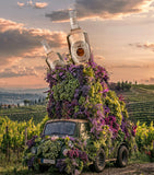 Pasqua rosé wine 2024 vintage 75cl, imported from the UK