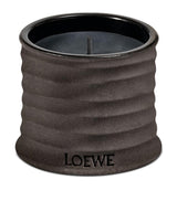 LOEWE Small Dendrochilum Orchid Scented Candle