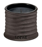 LOEWE Small Dendrochilum Orchid Scented Candle, UK version