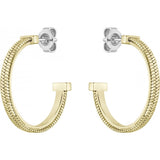 Superdrug BOSS Gold Ladies Earrings- Buy online at McGrocer