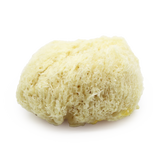 Holland & Barrett SpongeBox Deep Sea Luxe Natural Sea Sponge 5-5.5 Inches- Buy online at McGrocer