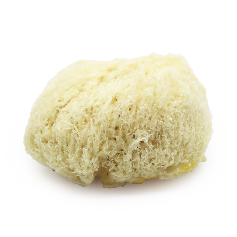 SpongeBox Deep Sea Luxe sea sponge 5-5.5 inches (British brand)