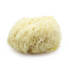 SpongeBox Deep Sea Luxe sea sponge 5-5.5 inches (British brand)