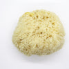 SpongeBox Deep Sea Luxe sea sponge 5-5.5 inches (British brand)