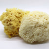 SpongeBox Deep Sea Luxe sea sponge 5-5.5 inches (British brand)