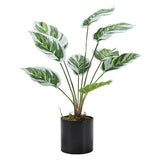 Superdrug Livingandhome Artificial Calathea White Fusion Black Pot 54.5cm- Buy online at McGrocer