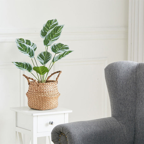 Livingandhome artificial Calathea White Fusion in black pot, UK version