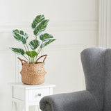 Livingandhome artificial Calathea White Fusion in black pot, UK version