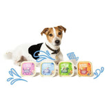 Edgard & Cooper Adult Grain Free Wet Dog Food with Salmon & Turkey 150g