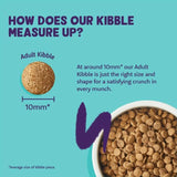 Edgard & Cooper Cat Dry Food Adult Salmon 2kg