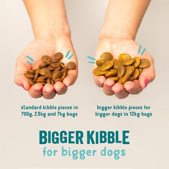 Edgard & Cooper Fresh Dog Dry Food Plant Based Adult Beetroot & Pumpkin 2.5kg