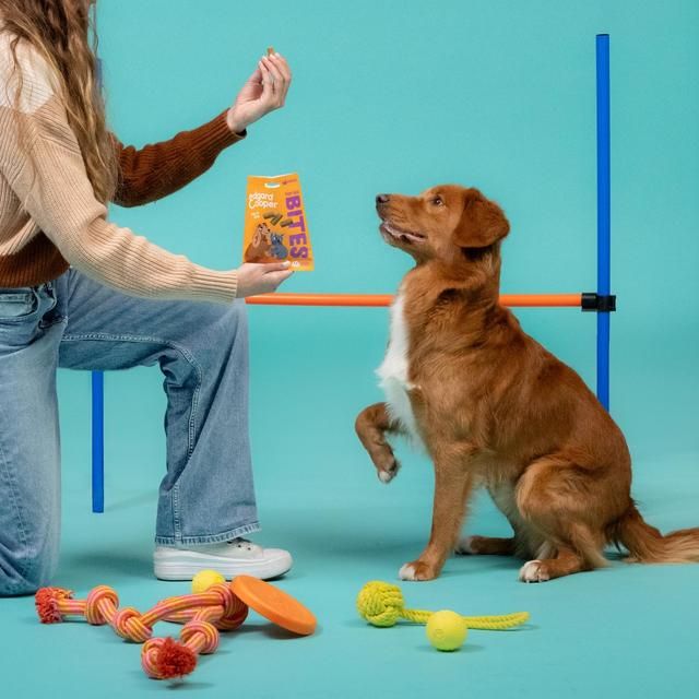 Edgard & Cooper Fresh Dog Large Bites Adult Grain Free Salmon & Chicken   50g