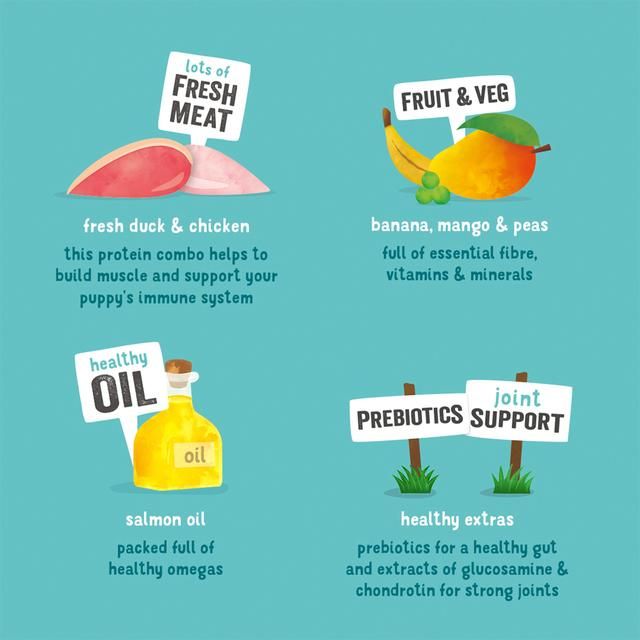 Edgard & Cooper Puppy Grain Free Wet Dog Food with Duck & Chicken 400g