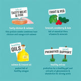 Edgard & Cooper Senior Grain Free Wet Dog Food with Chicken & Salmon 400g