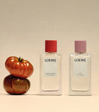 LOEWE Tomato Leaves Room Spray 150ml, UK version
